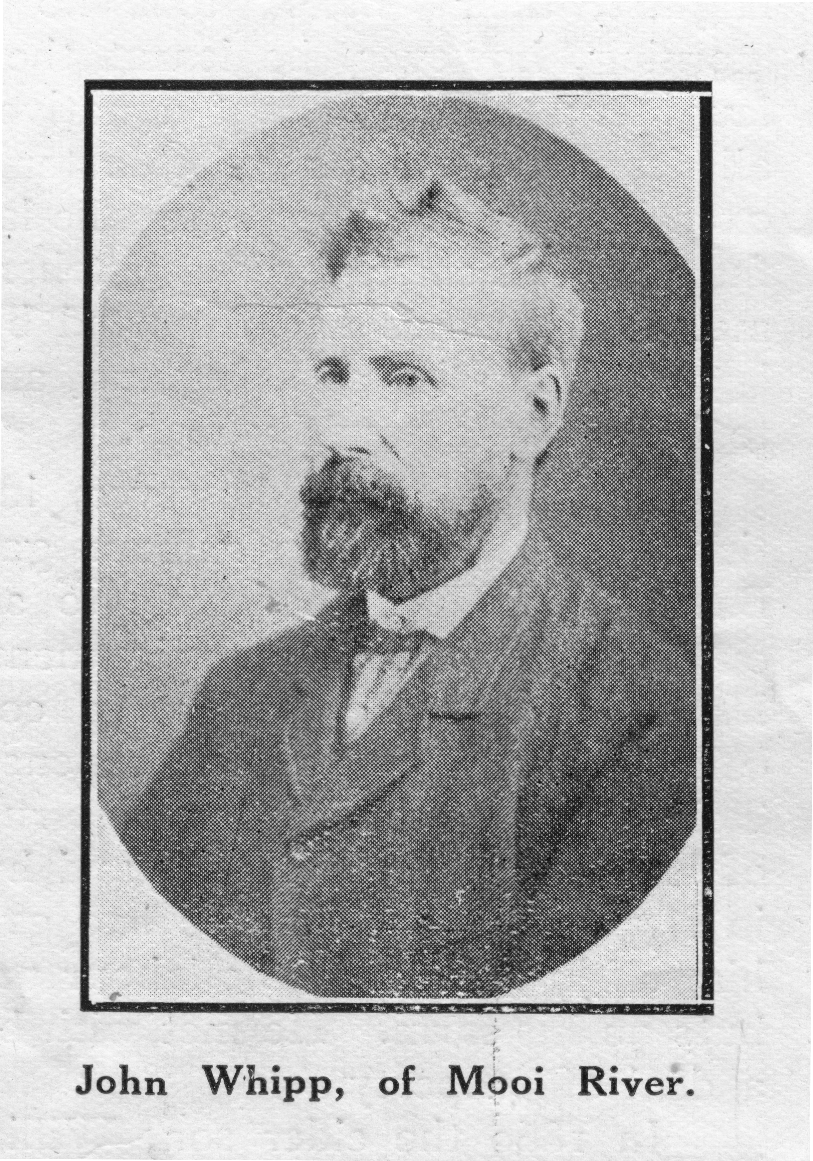 John Whipp